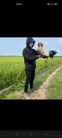 Biker Đồng Tháp