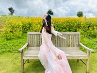 Nguyễn Việt Hạnh Tiên