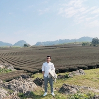 Hải BTC 