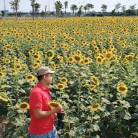 vinh tran van