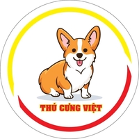 Thú Cưng Việt - 0824223979