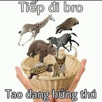 TiTi