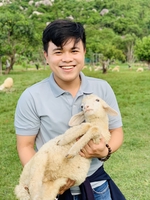 Thiết