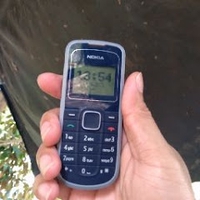 dm chó tốt talao