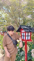 Đinh Huy 