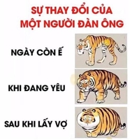 Tài Zone