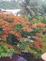 HIỆP