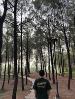 Nghị Lê