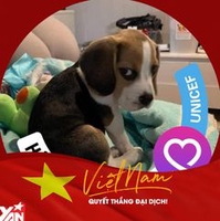 Trần Lực
