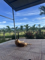 Chiêm Nhi Bình Dương