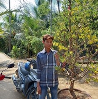 Trần Nhứt