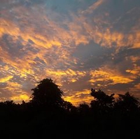 Nguyễn Thành Công