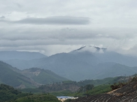 Hải Vũ