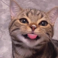 Khánh Dư