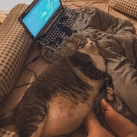 Nhã Ngô Đất Phú Tourist 