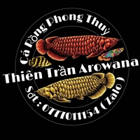 Thiên Trần arowana cá rồng phong thủy 