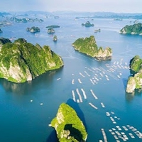 A Hùng