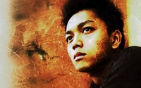 Han Trần