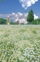 Phuong Mai