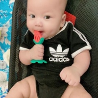 Thành Phạm