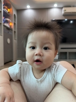 nguyễn hoàng long