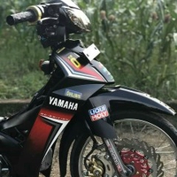 thành bùi 