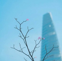 Linh Hà