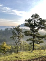 Võ Anh Tú