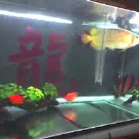 Hai Si Pham