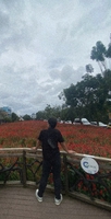 Bảo Duy