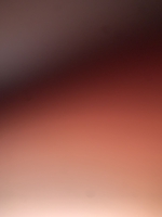 Bon
