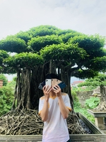 Tiến Anh