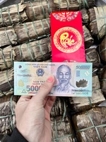 Phạm Bảo Trực