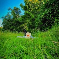Bốp