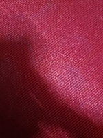 Tuấn Lê