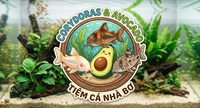 nghĩa 