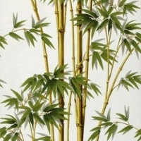 hữu phước