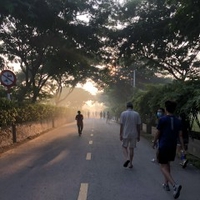 Điệp Cà La
