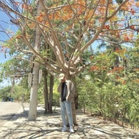 Phạm Nguyễn Hoàng Quân