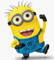 MiniIN
