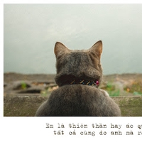 Tú Trần