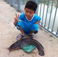 Minh Phung Le
