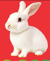 Trại Thỏ Nhà Bét 