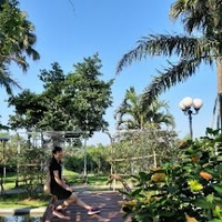 Thái Hạnh