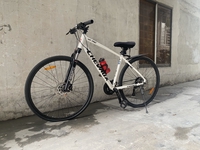 Bích Ngọc Nguyễn