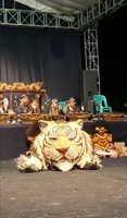 Tuyết Mai