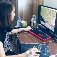 Anh Linh