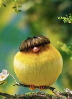 Vũ