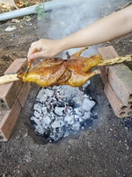triệu