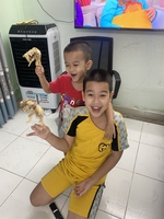 chi Linh